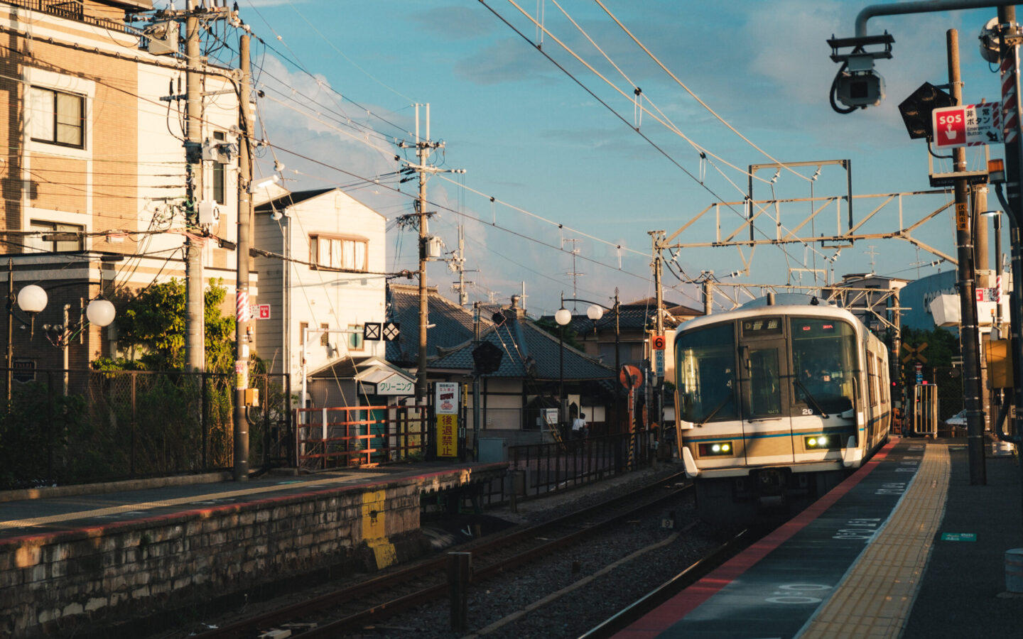 cropped-DSF7987-scaled-1.jpg