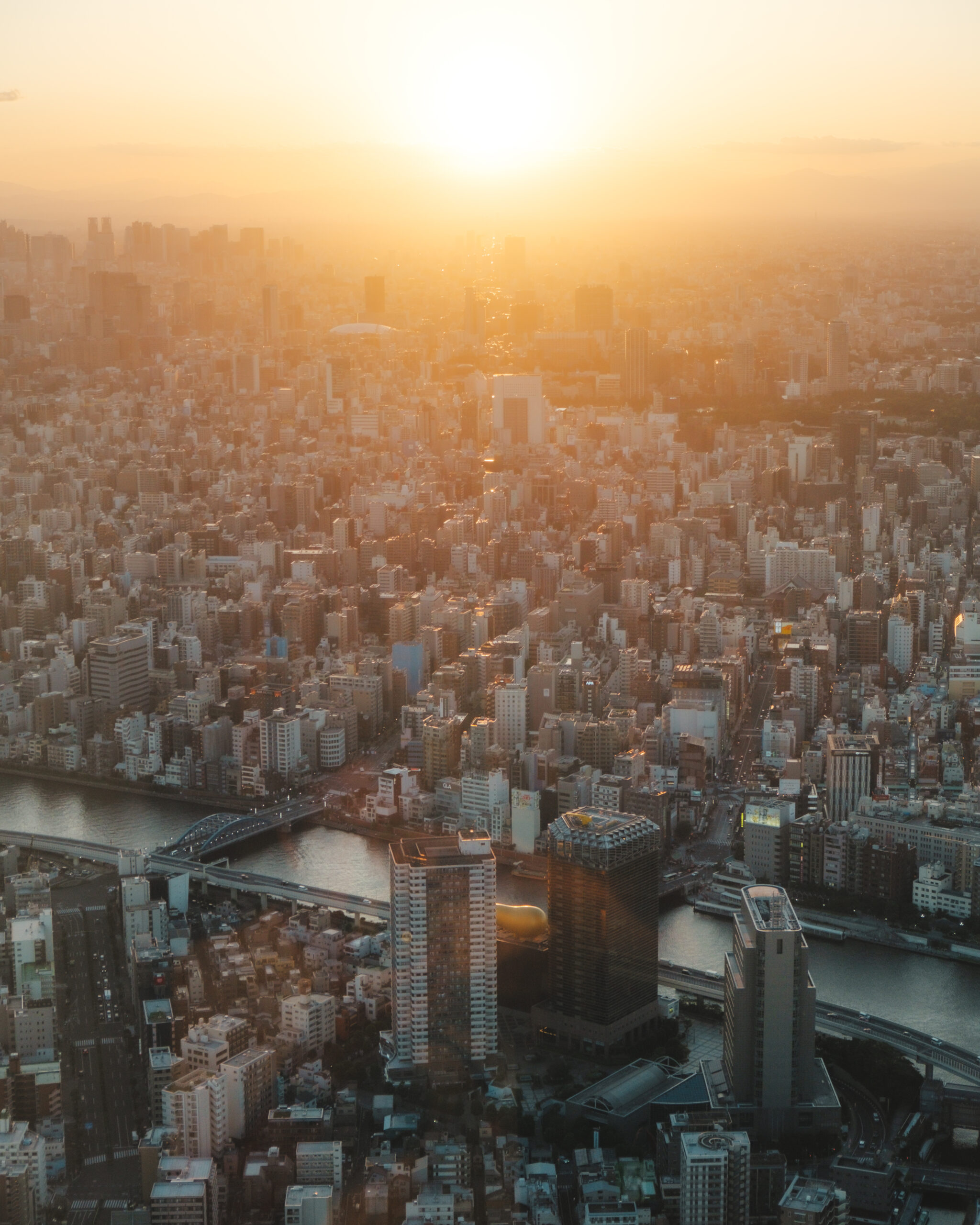 Japan 7